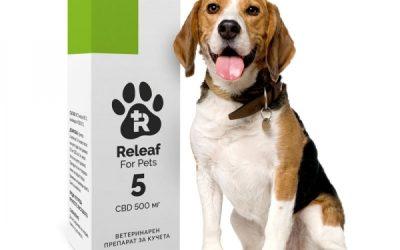 Releaf For Pets е първото лицензирано CBD масло за домашни любимци